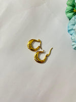 Load image into Gallery viewer, Sunbound Hoops