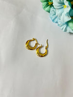 Load image into Gallery viewer, Sunbound Hoops