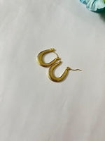 Load image into Gallery viewer, Radiance Hoops
